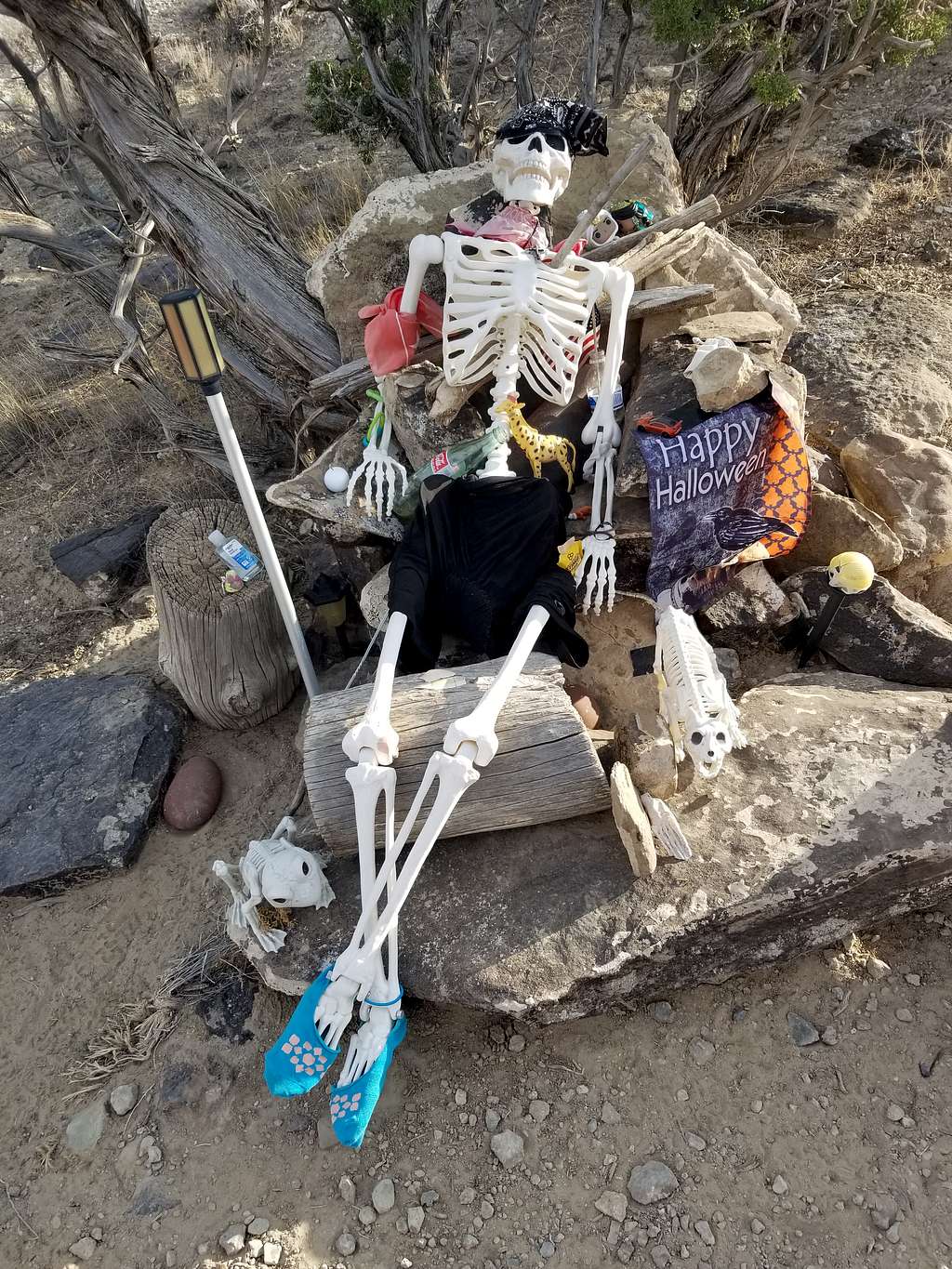 Mr. Bones on the Redlands Mesa Trail