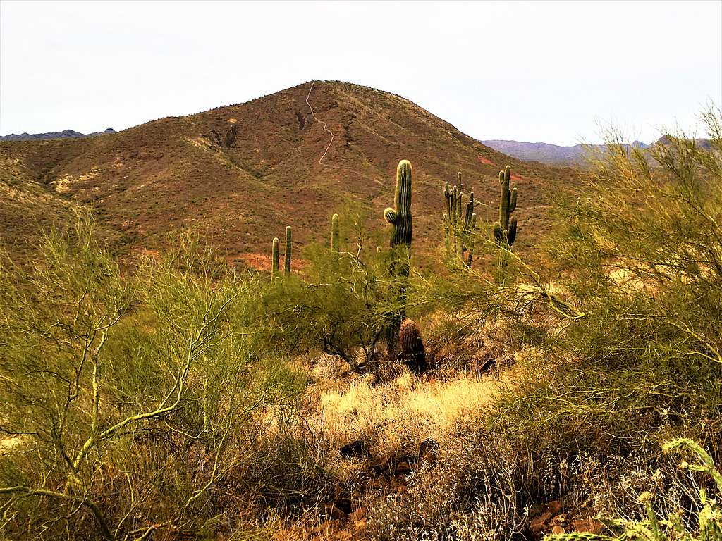 Francis Rogers Mountain viewed from Cholla Mountain