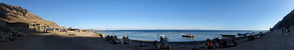 Camels and Sinai Mountains