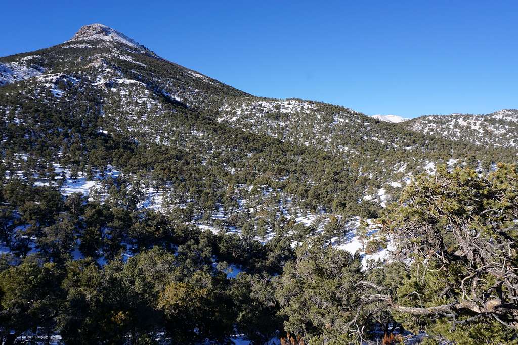 Approaching unnamed peak on west side of Monitor Valley