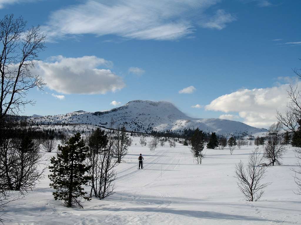 Svartfjellet (1154m), Norway