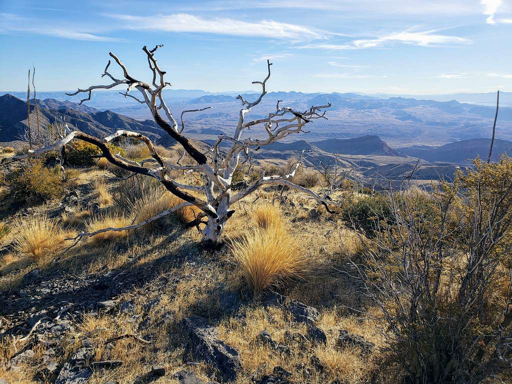 On the ridge