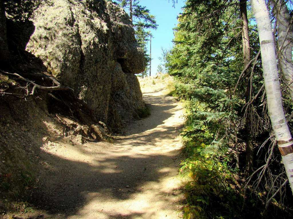 A well-worn trail