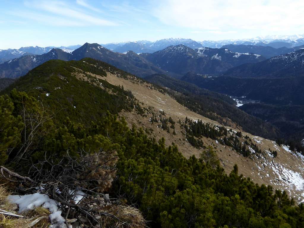 Auerspitze