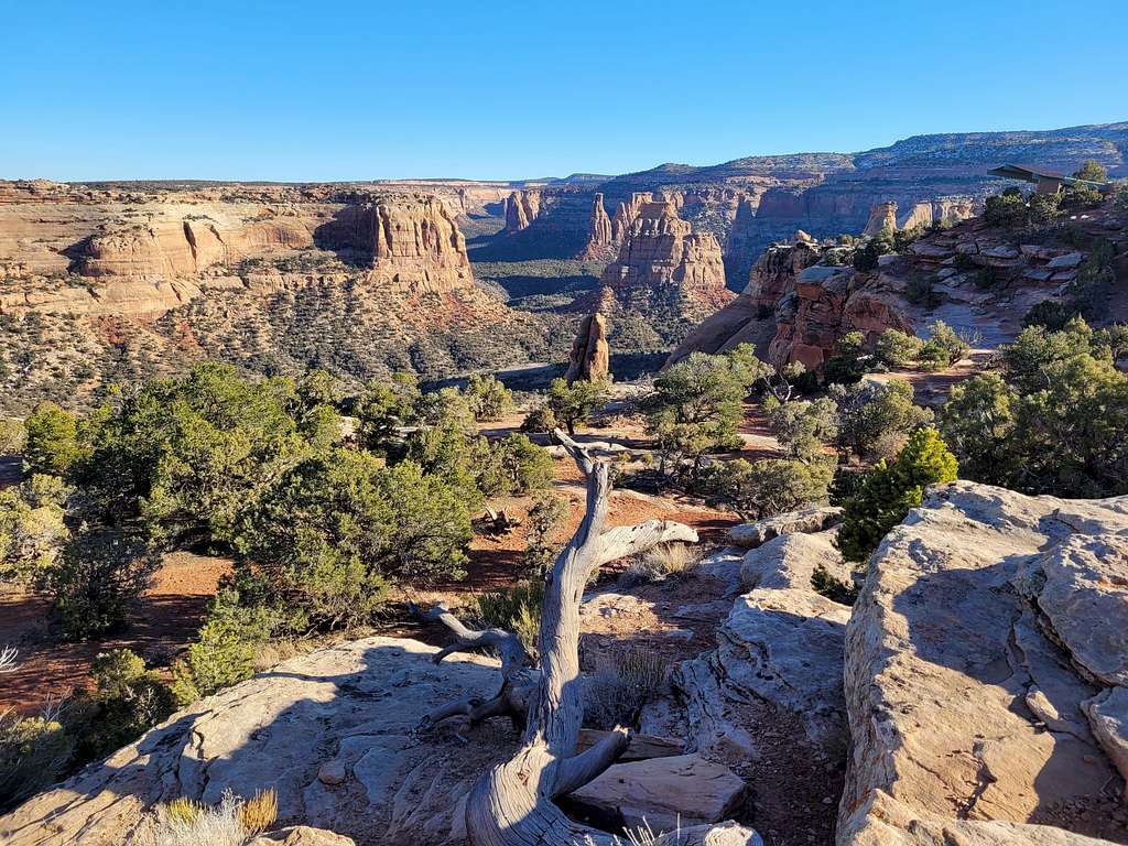 View from the Rim Trail in Colorado National Monument