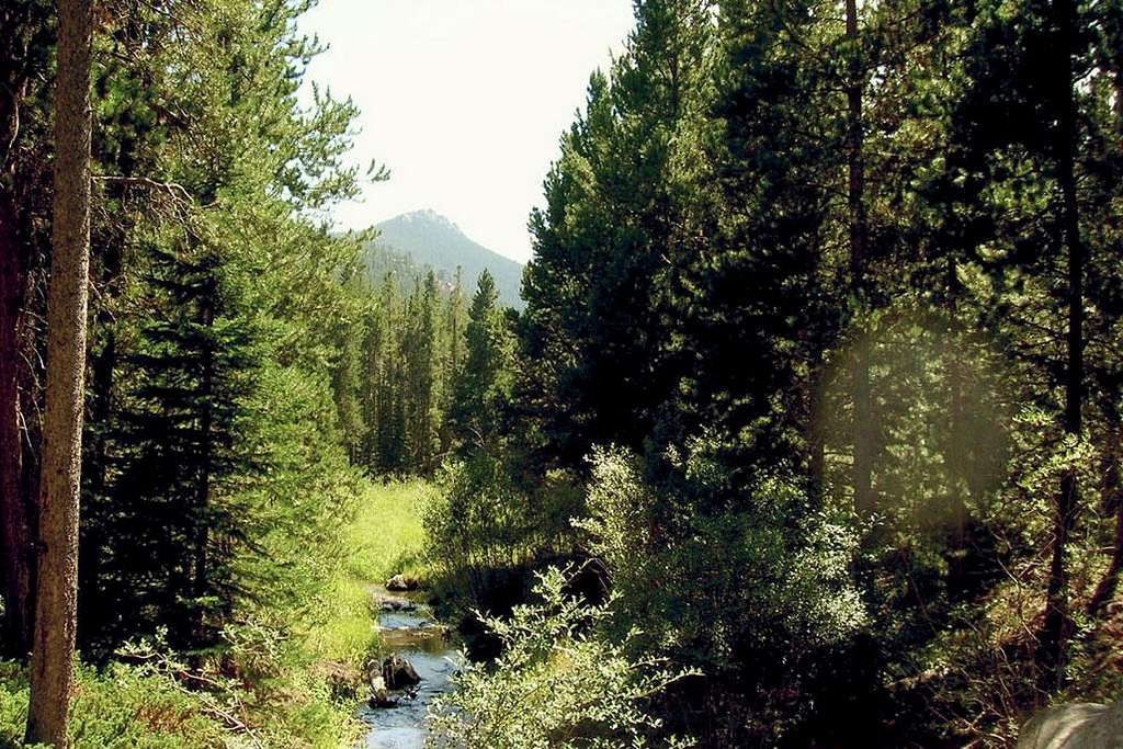 Friend Creek, near trailhead