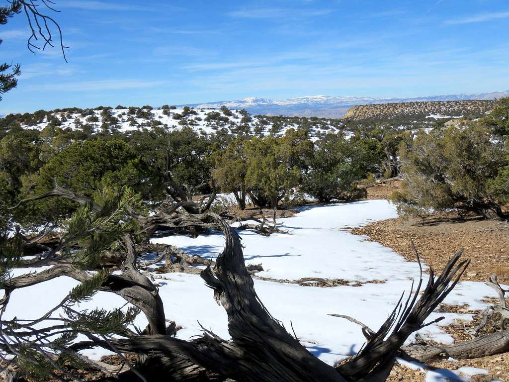 Looking west from the summit of Sagebrush Bench