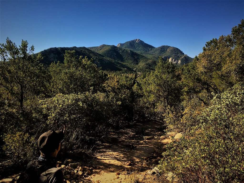 First clear view of Rincon Peak from the trail