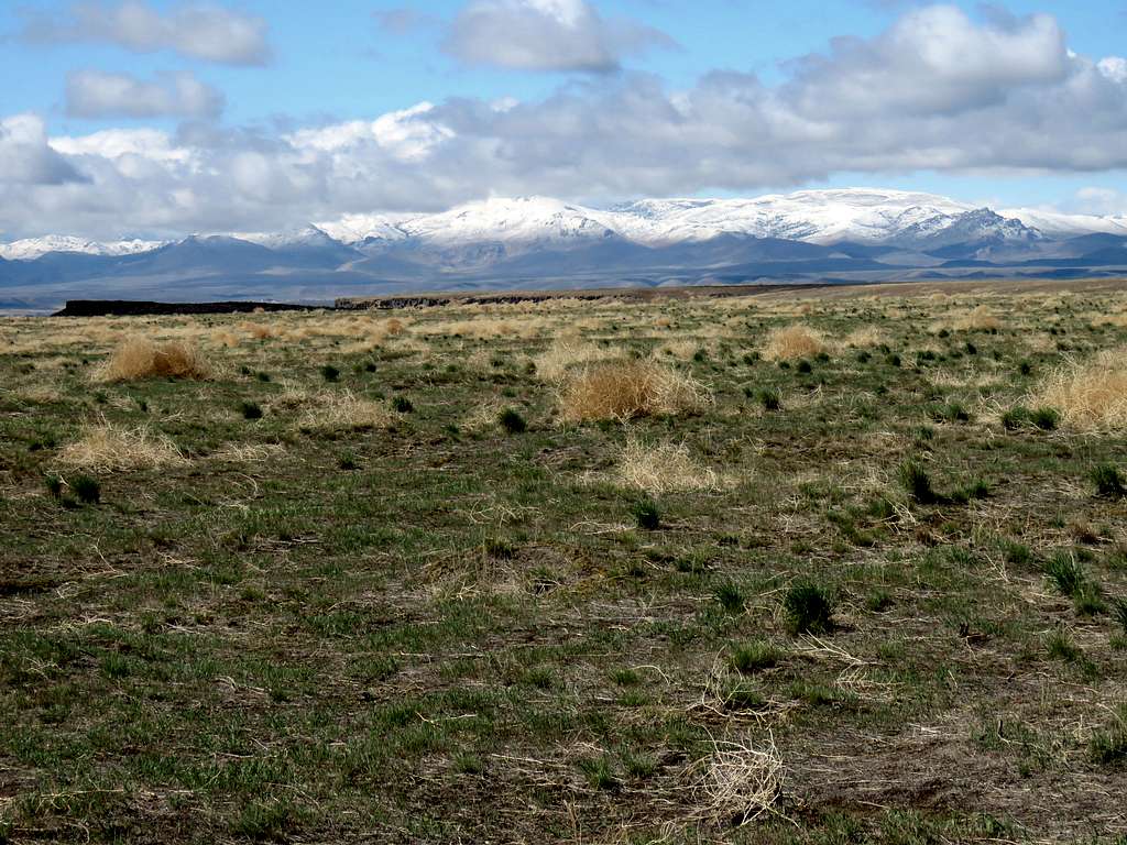Owyhee Mountains from the plateau