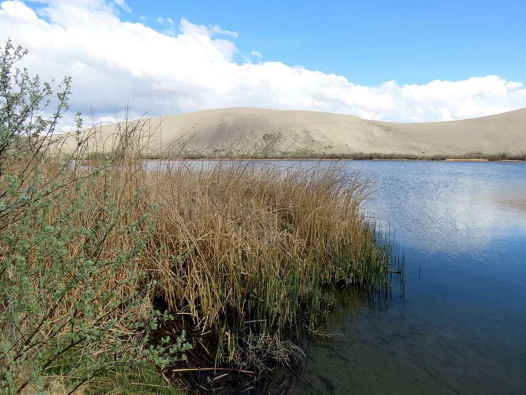 Dunes and pond
