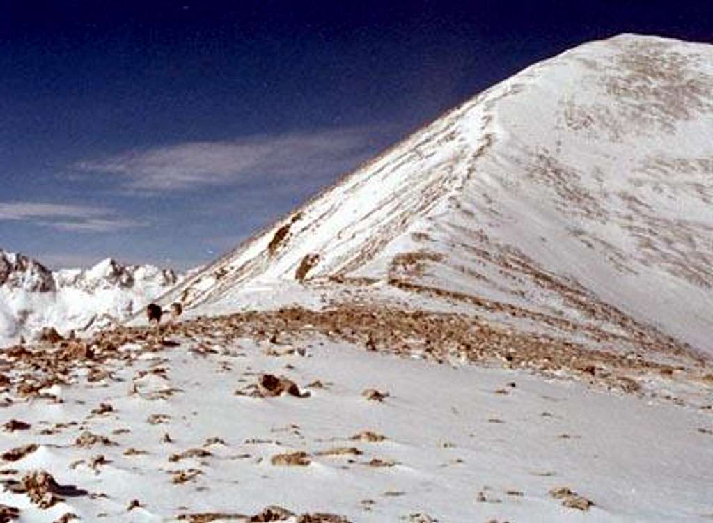 Winter climb of Quandary