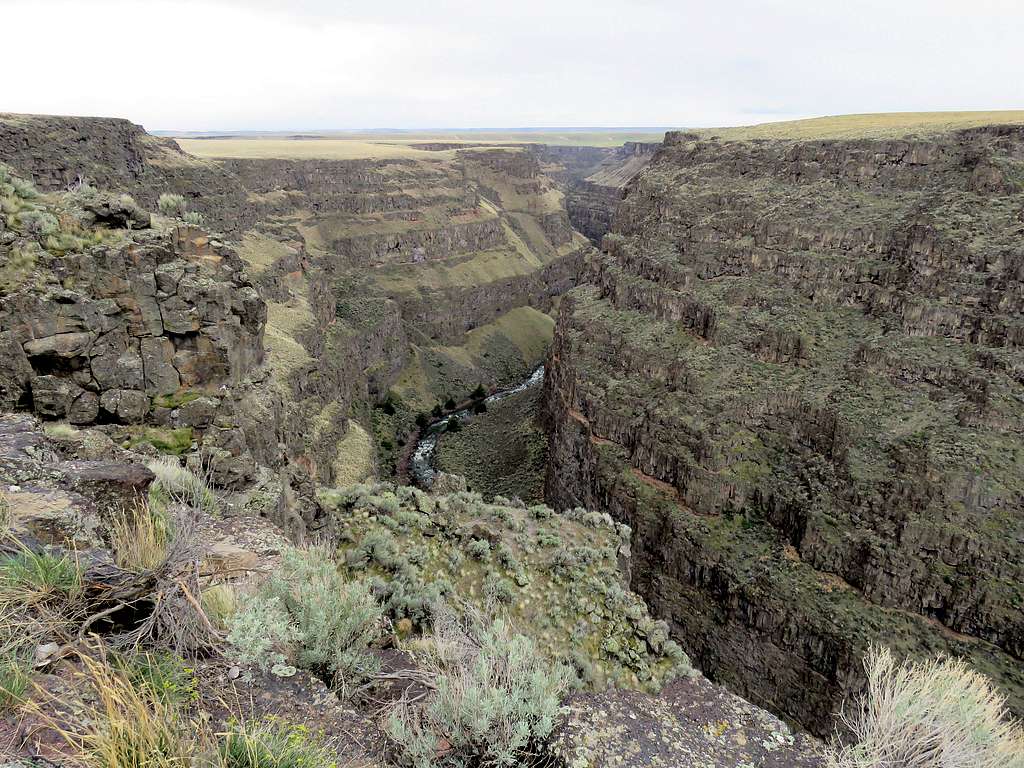 Bruneau Canyon from viewpoint