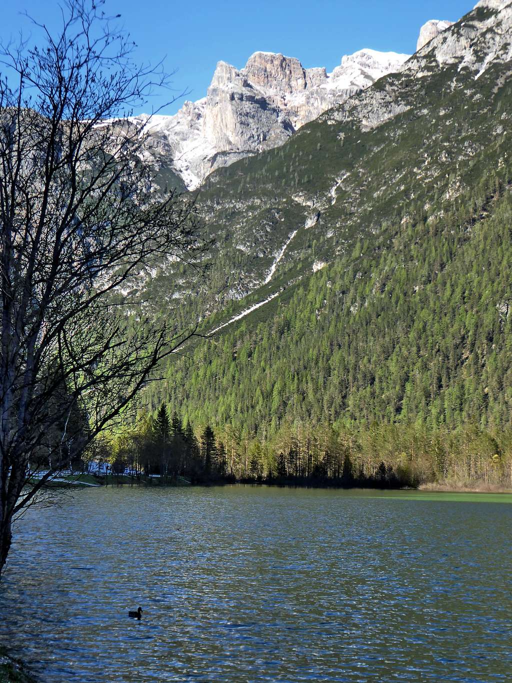Looking towards  N-N-E from the shore of lago di Landro/Dürrensee