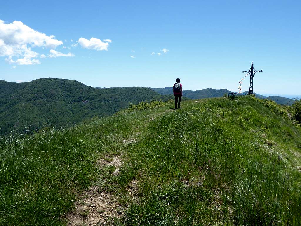 Arriving on the grassy summit of monte Proventino