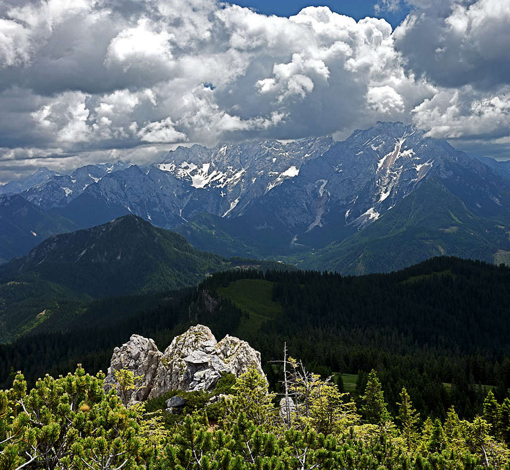 Plešivec summit view