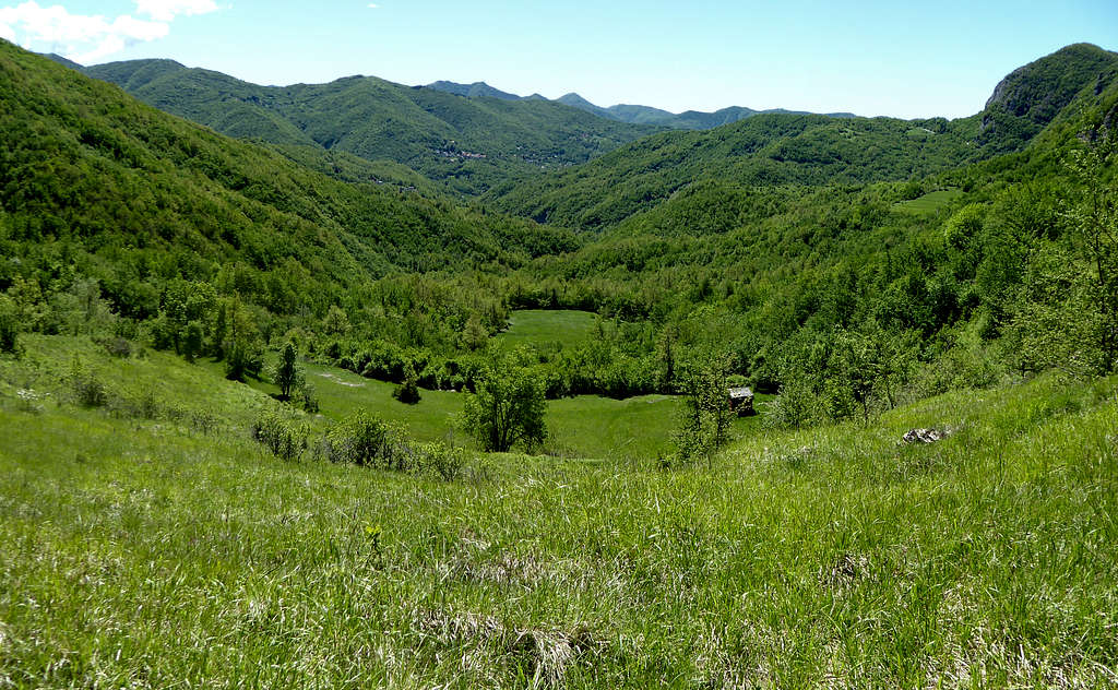 A wooded valley at the foot of Monte Proventino