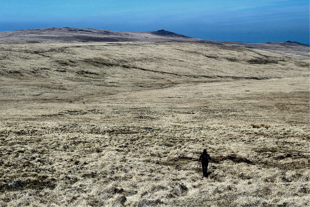 Taw valley, Dartmoor, Devon