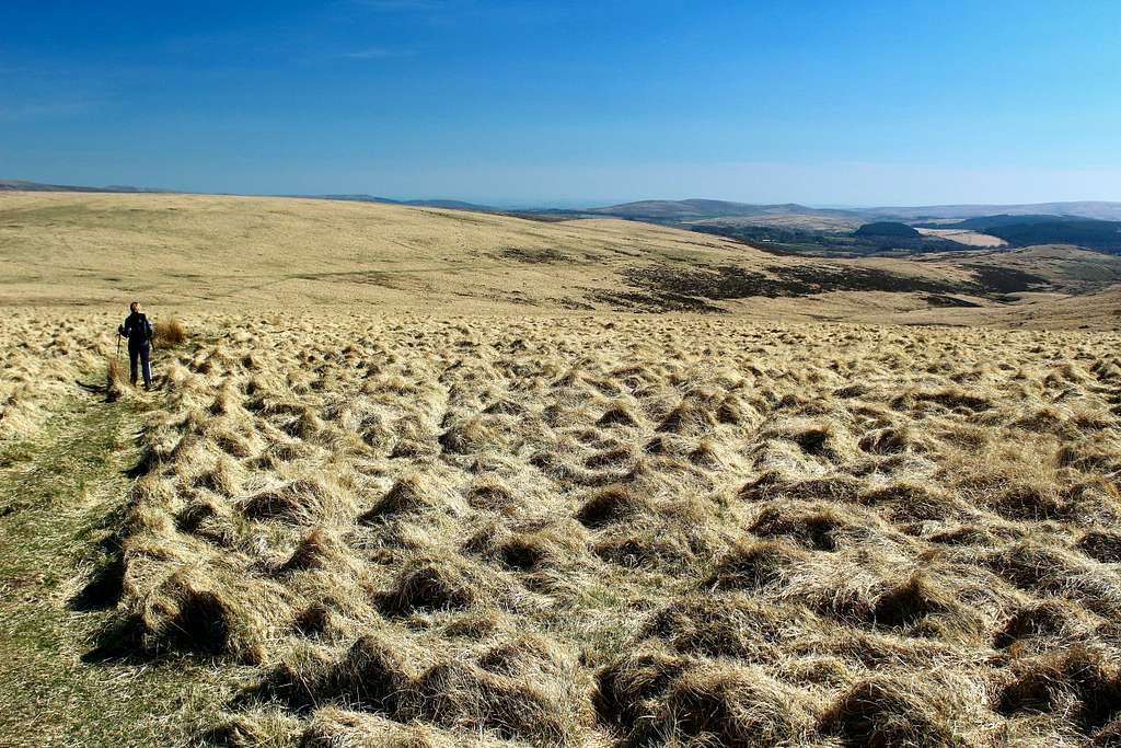 Looking south towards Postbridge.