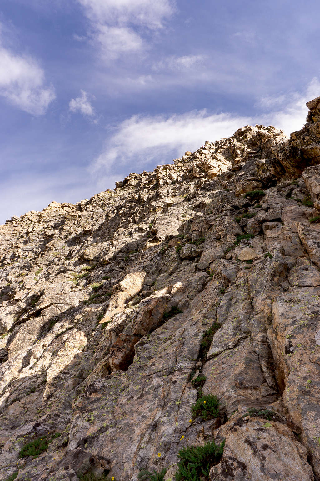 Near the summit of Mt Gilbert on its north side