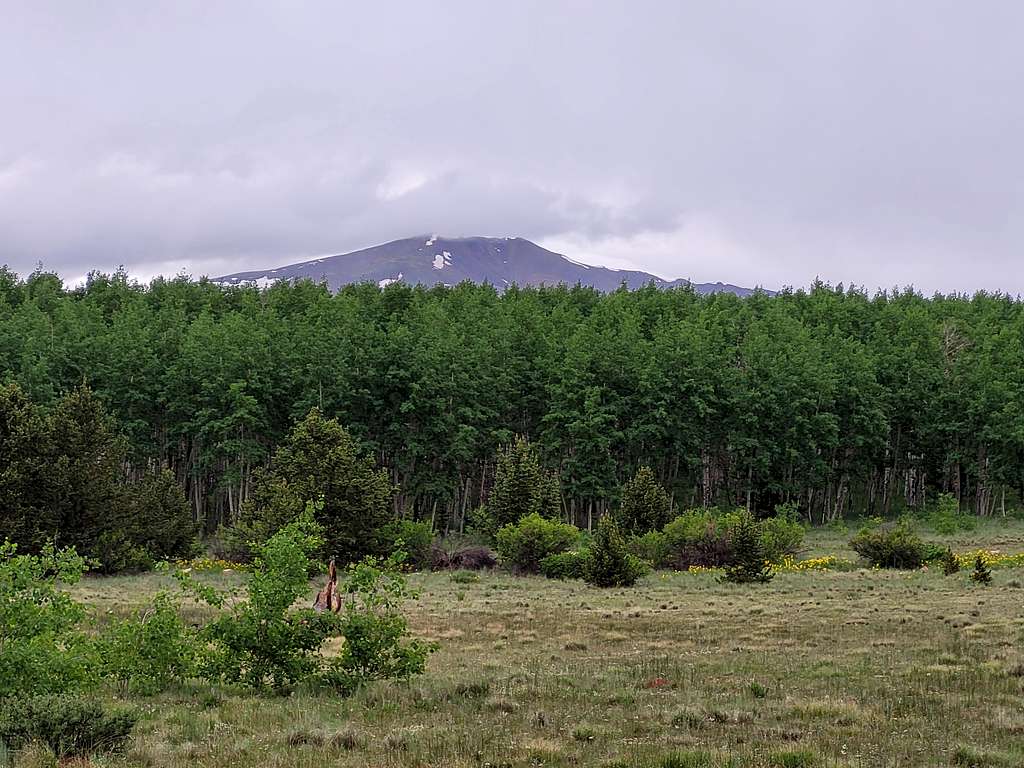 Mount Silverheels as seen from the meadow north of Red Hill