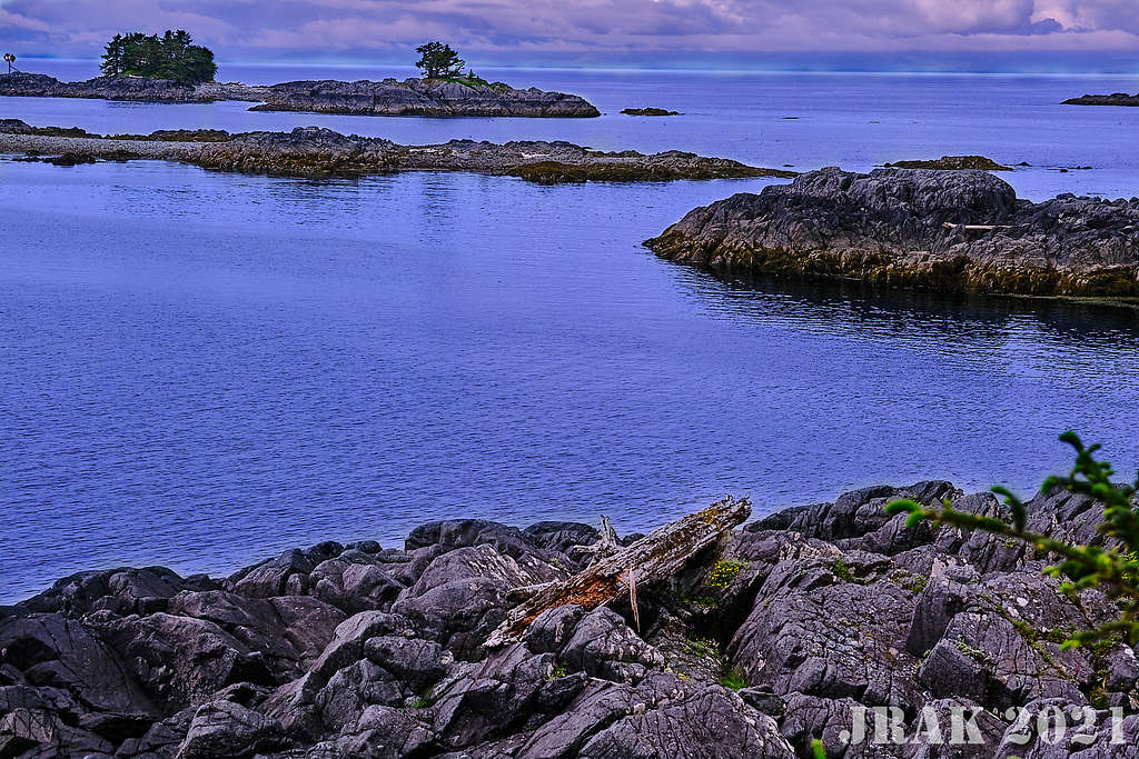 Annette Island Davison Point