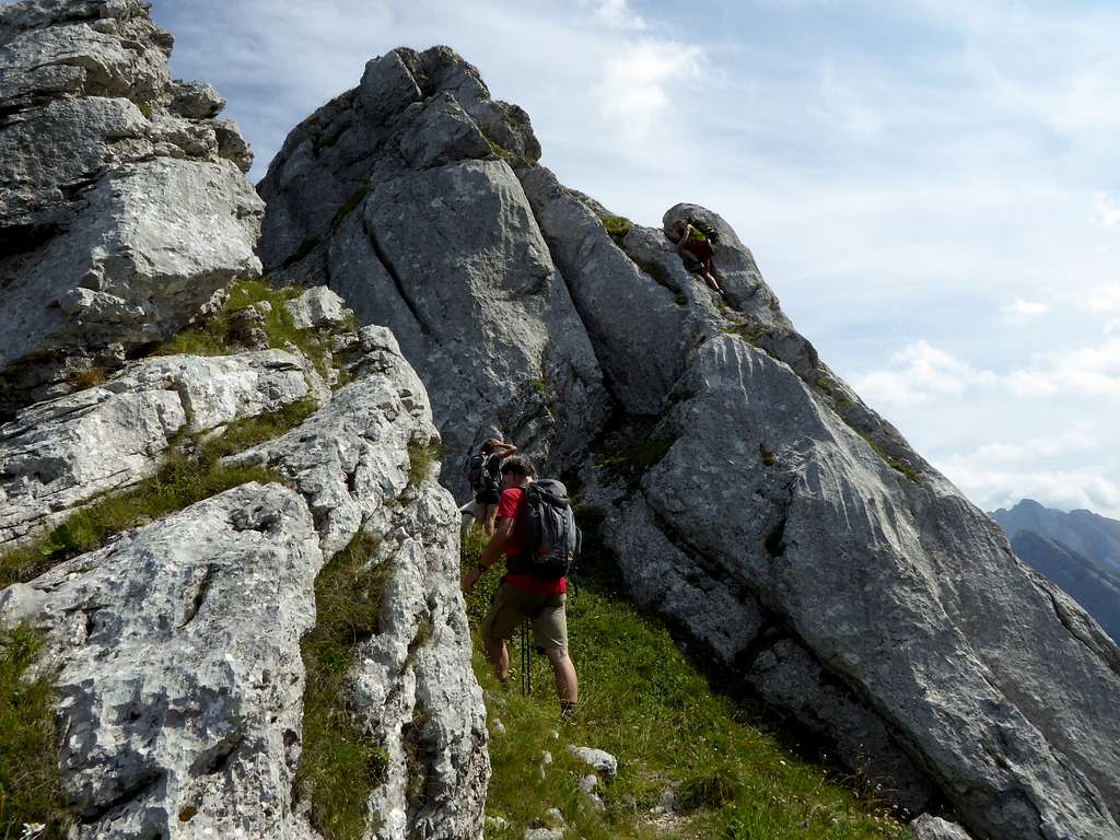 Torkopf