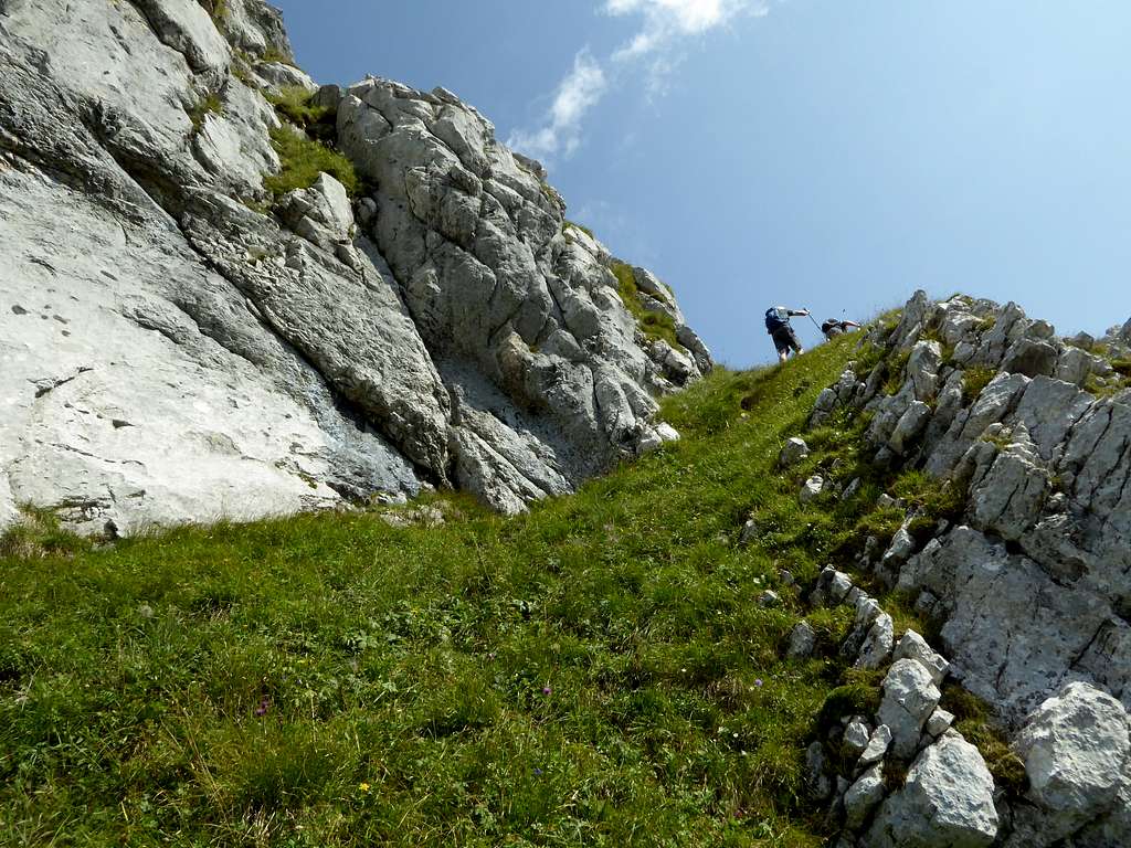 Torkopf