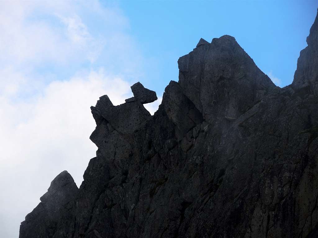 A curious rocky dog on the ridge of Sega d'Arno