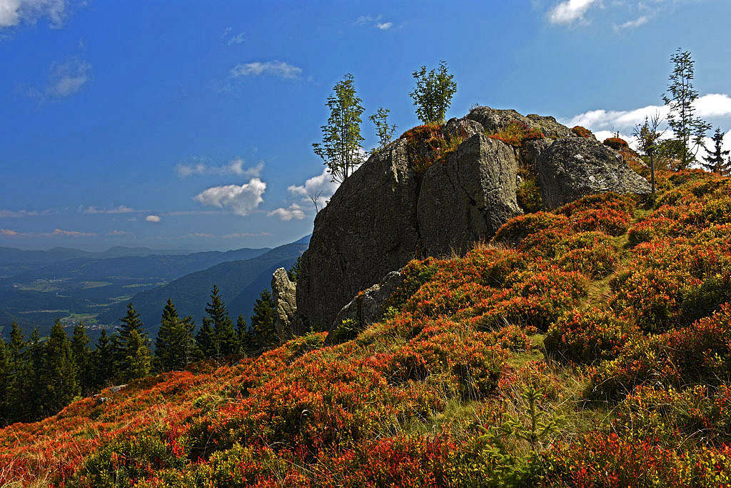 The rocks below Kranjska reber (Barona peč)