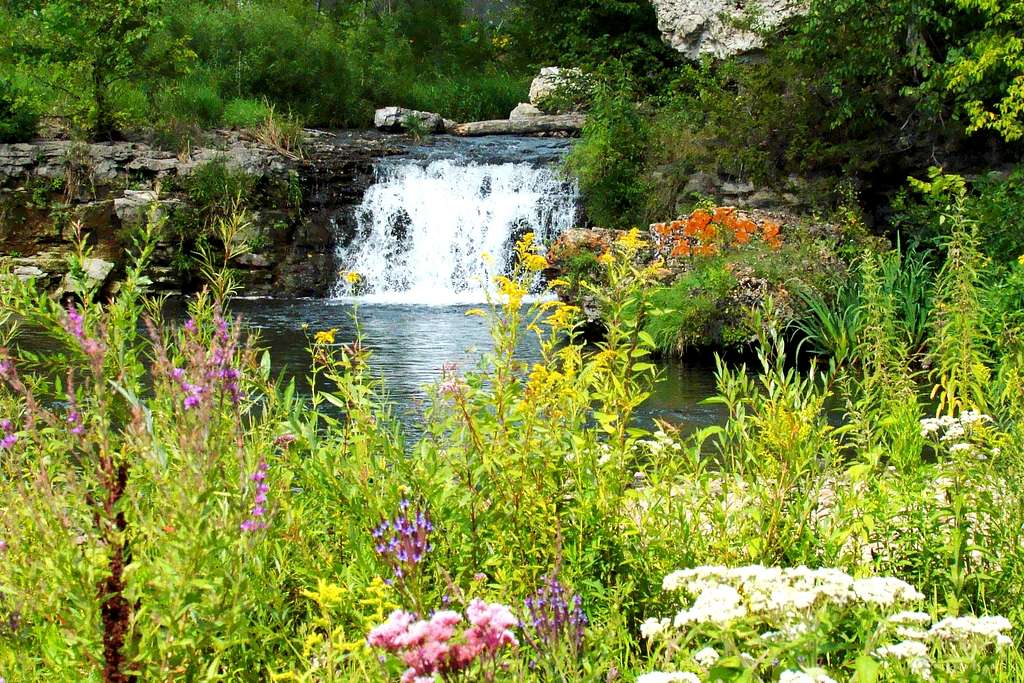 Summer Wildflowers by a Waterfall on South Kinnickinnic River