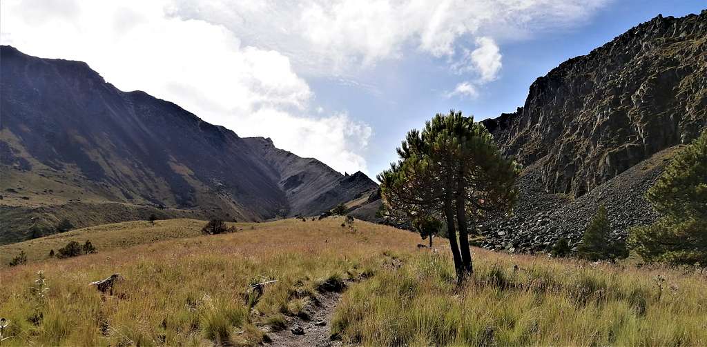 Path to Cerro Prieto and Xinantécatl.