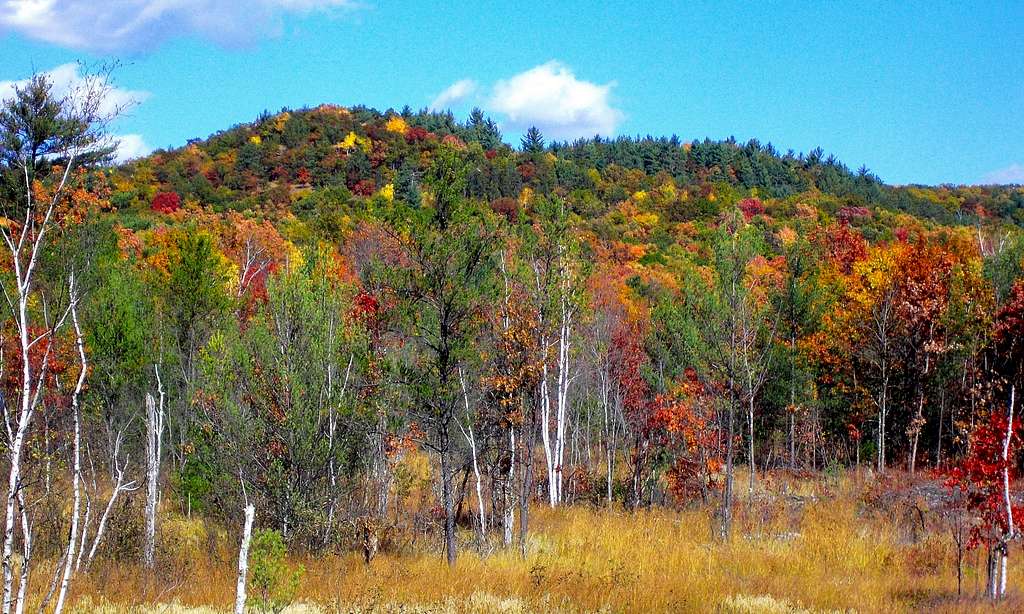 Levis Mound Autumn Color