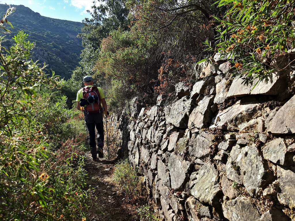Monte Arcosu, the ancient charcoal trail