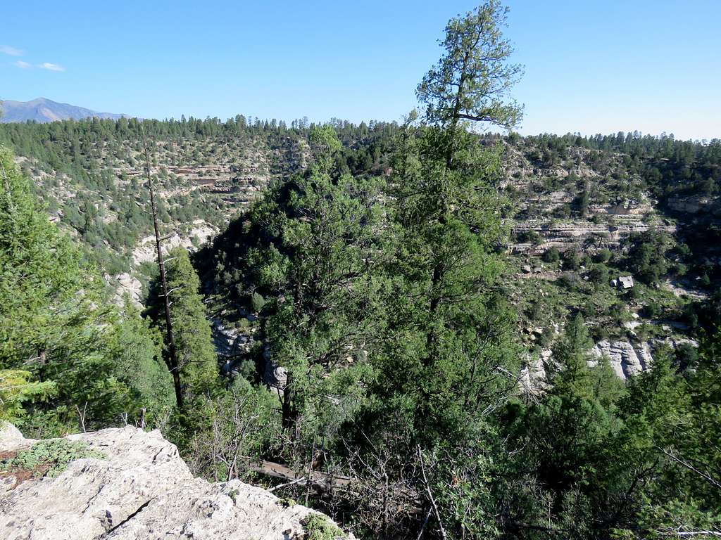 Walnut Canyon