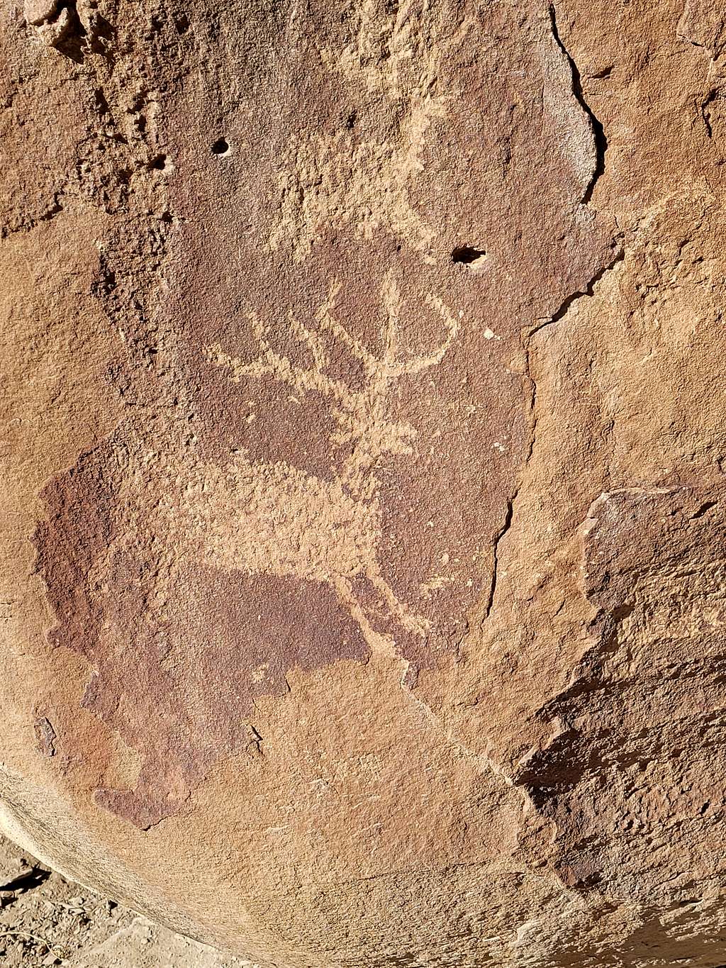 Petroglyphs near the Palisade Rim Trail