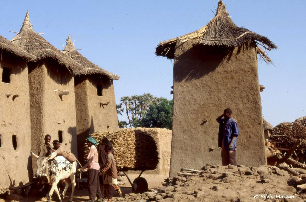 Dogon village near Hombori