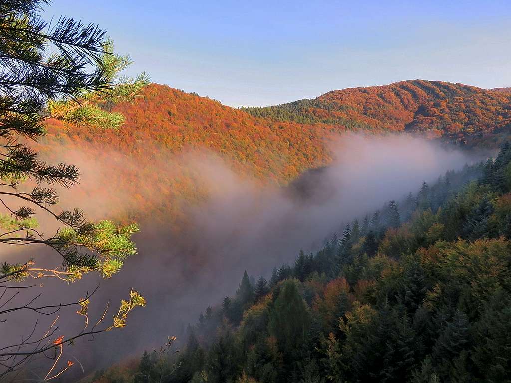 Autumn in Cergov Mountains