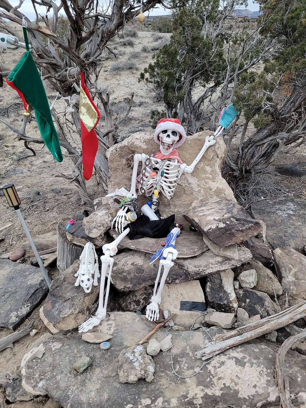 Mr. Bones greets us on the Redlands Mesa Trails