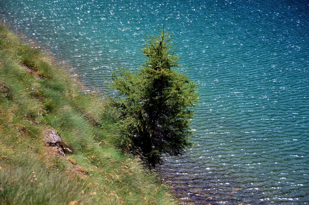 Route Lago Lavodilec