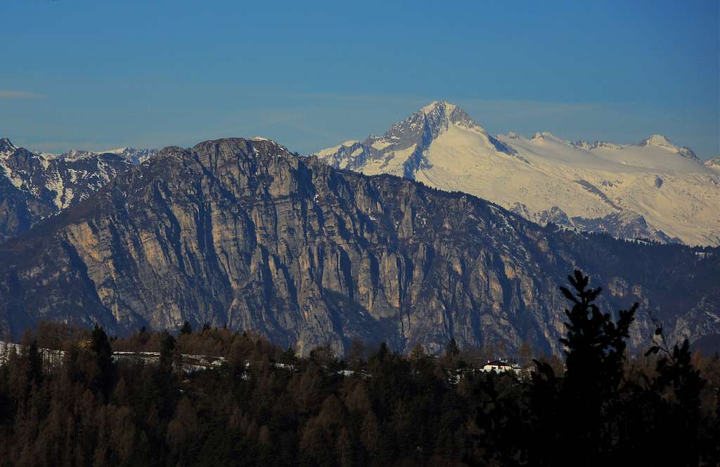 A winter view of Carè Alto from Monte Biaena