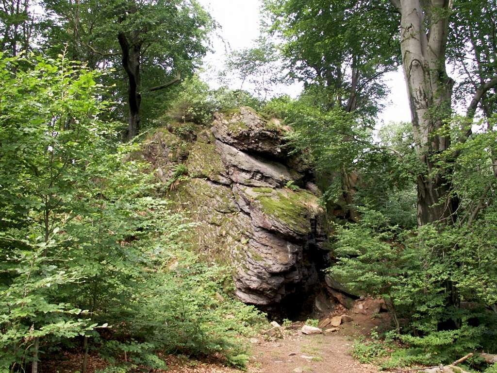 Strzelin forests 11 – Gneiss outcrop…
