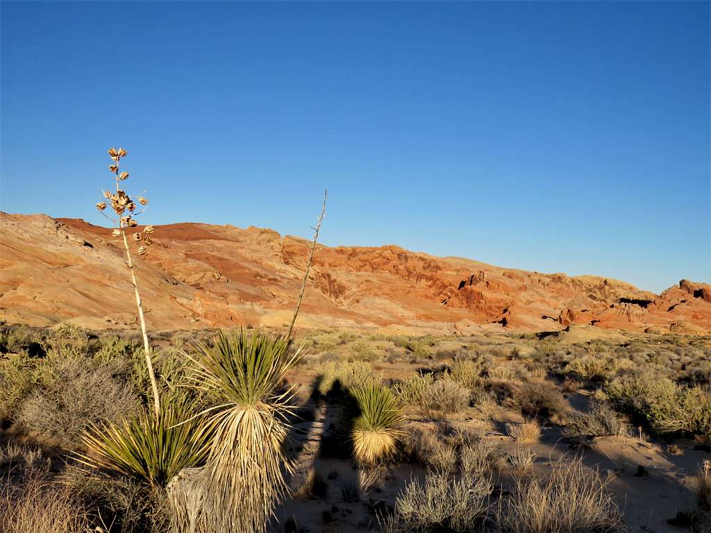 Valley of Fire