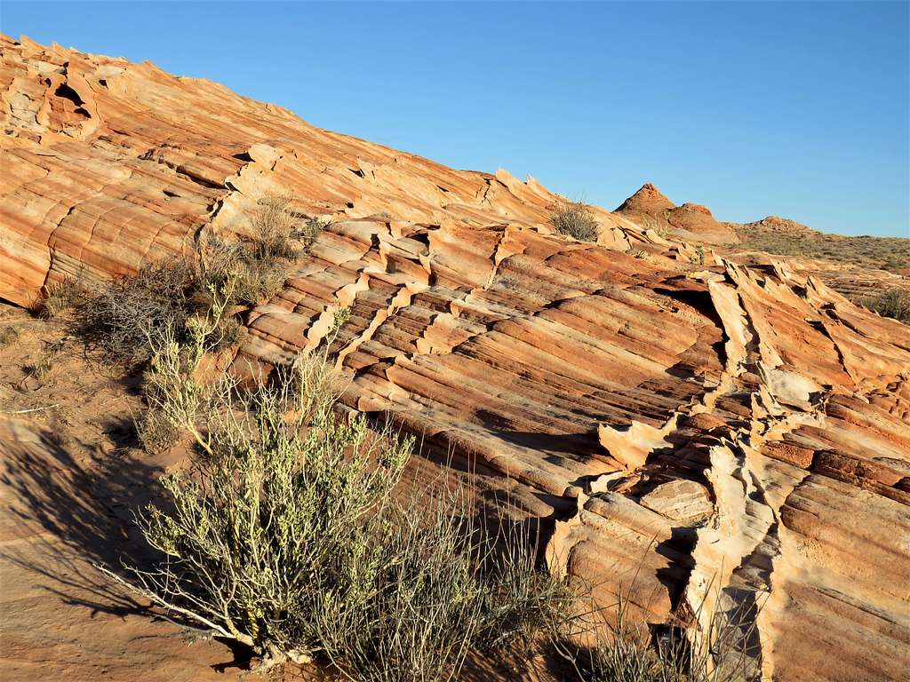 Valley of Fire