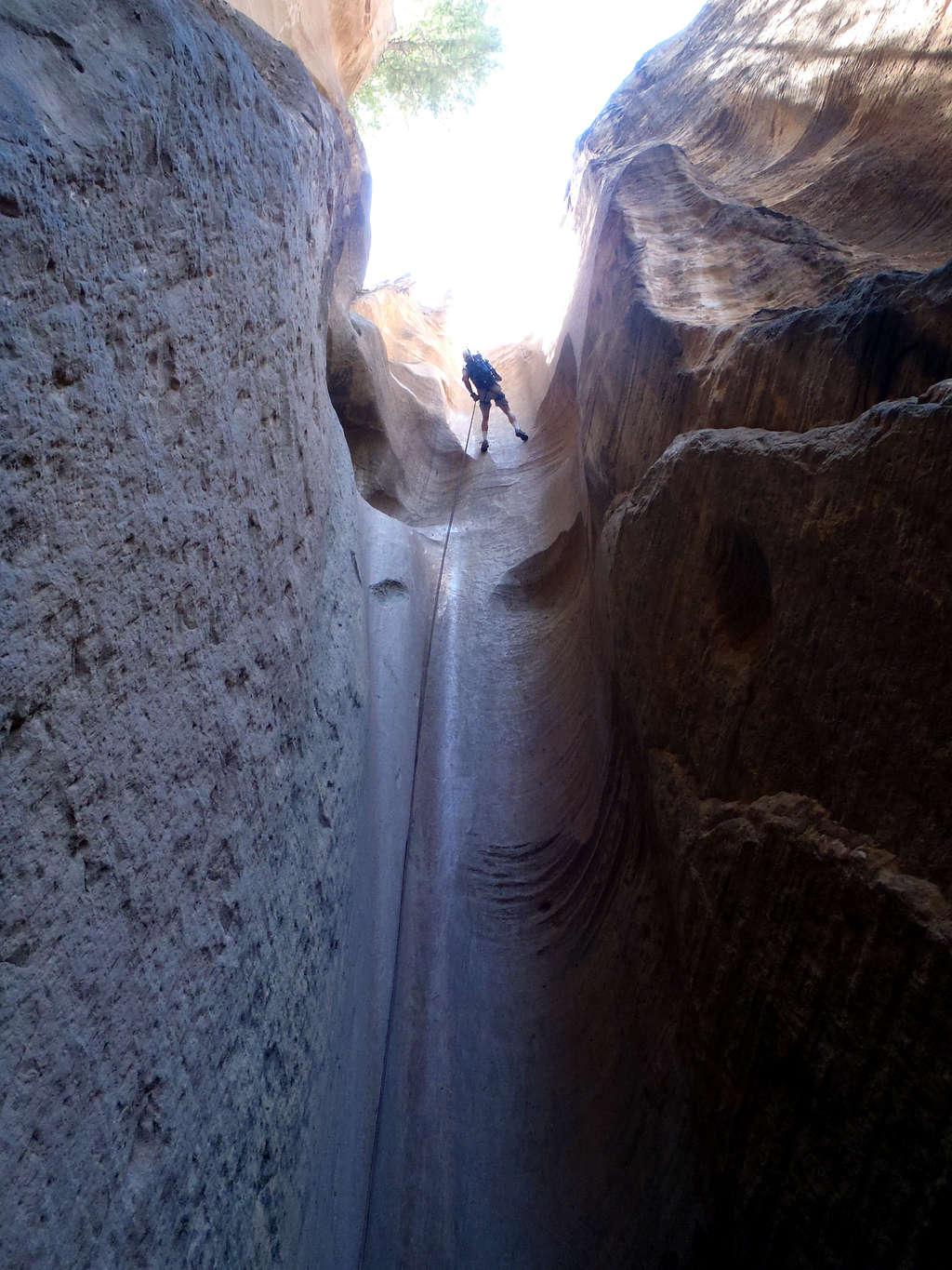 Hiker on the sixth rappel (100 ft) of Birch Hallow Canyon.