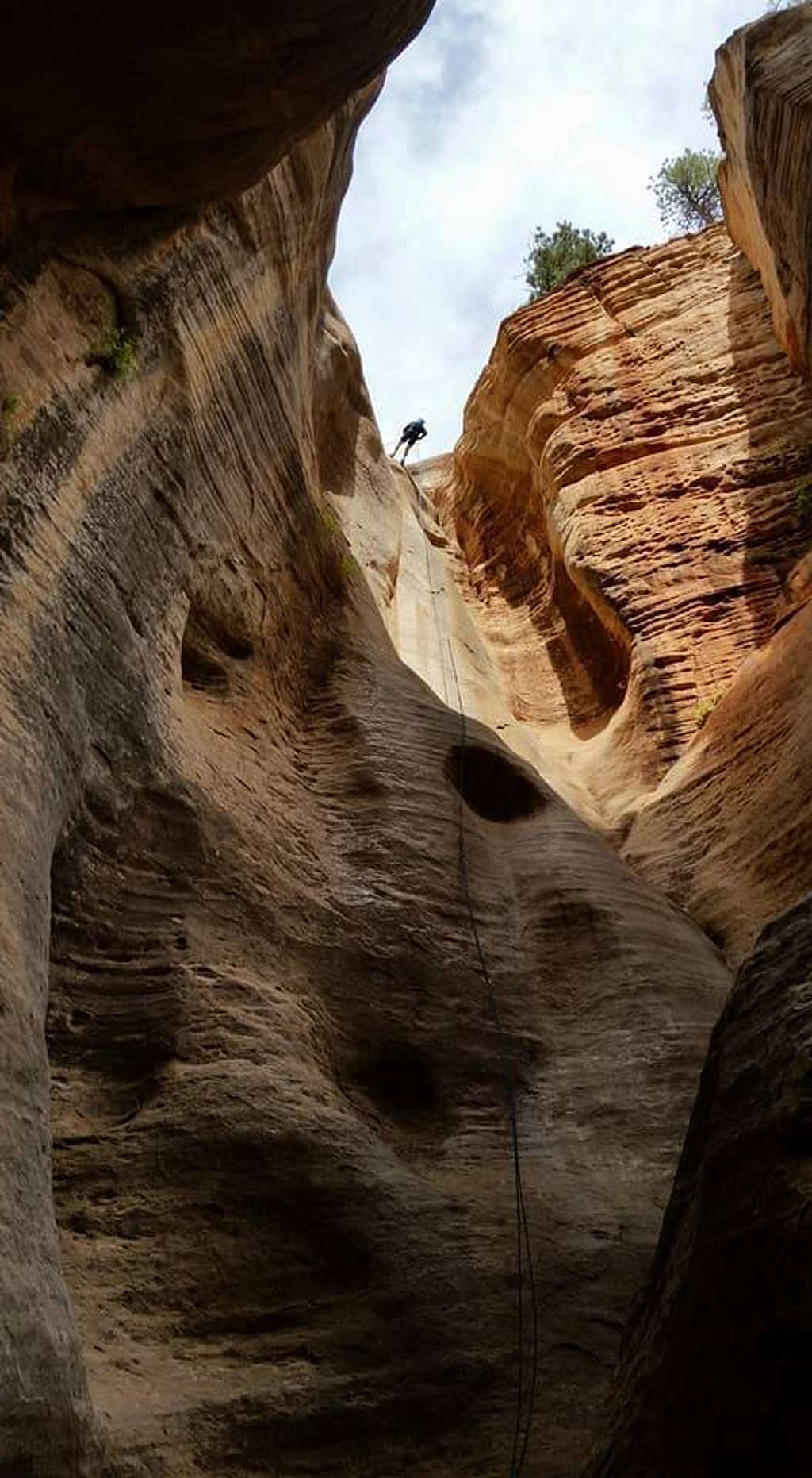 Dropping in on the 155-foot, first rappel, of Telephone Canyon