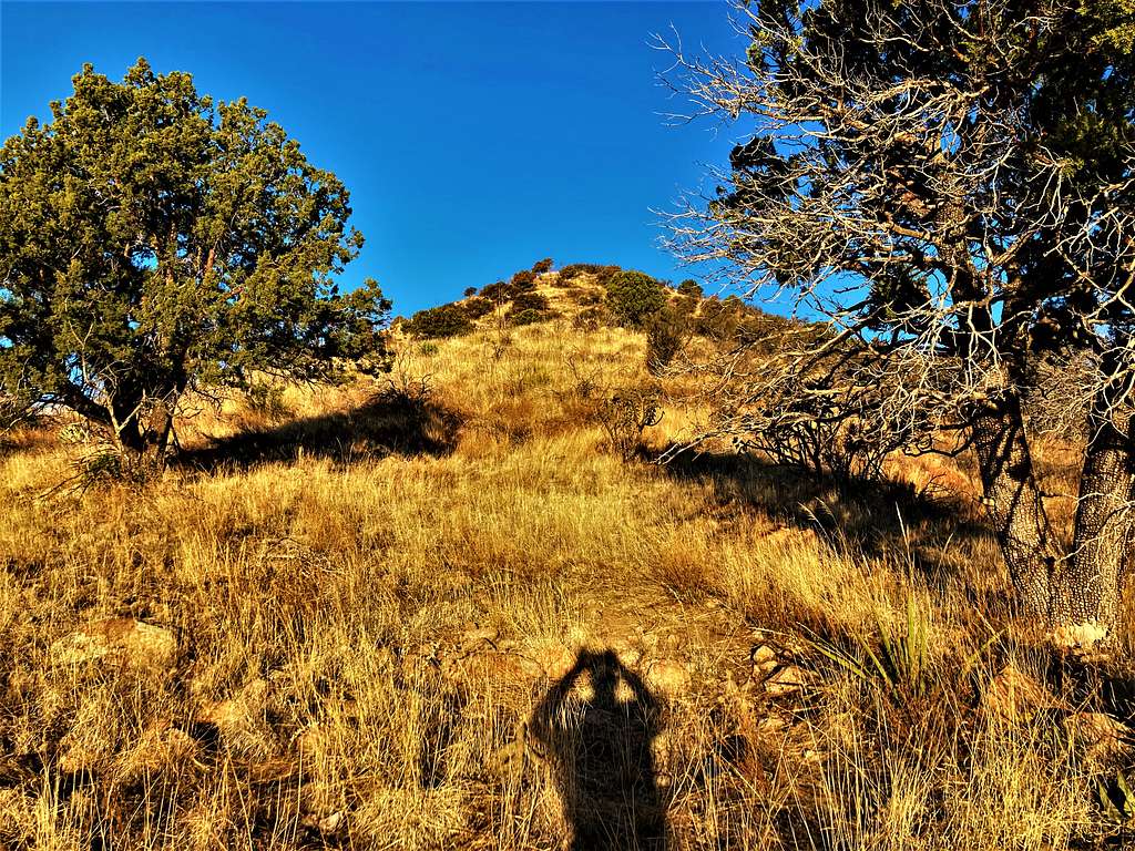 View to the summit from the east higher up on the trail