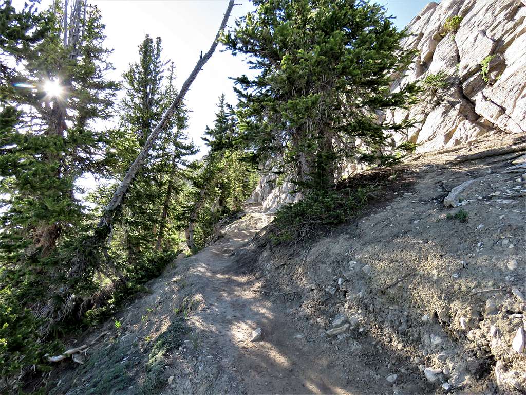 Trail to summit of Sunset Peak