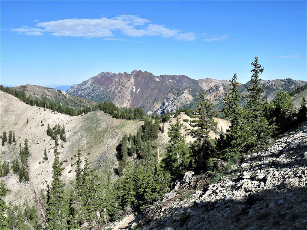 View toward Dromedary Peak