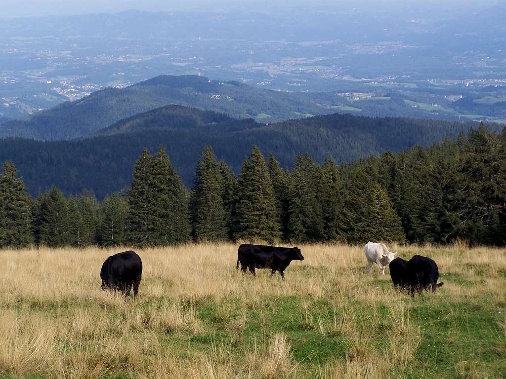 Near Dreieckhütte