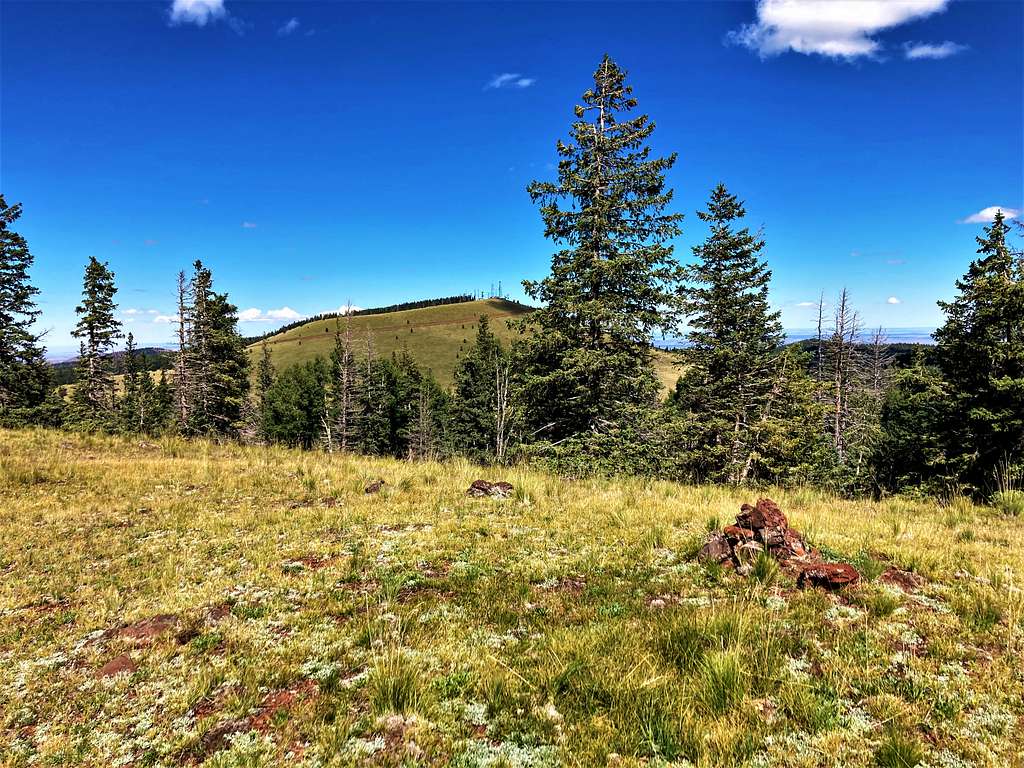 Greens Peak from Grassy Top